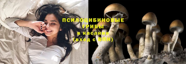 кокаин перу Белокуриха