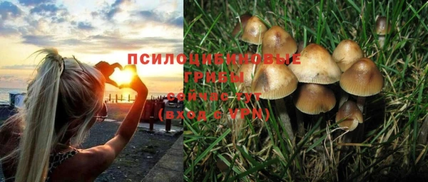 прущая мука Богданович