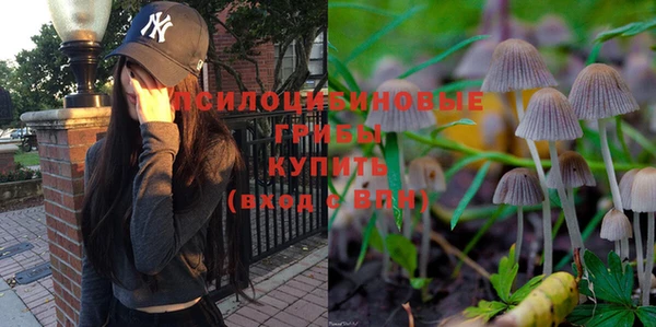 метамфетамин Богородицк